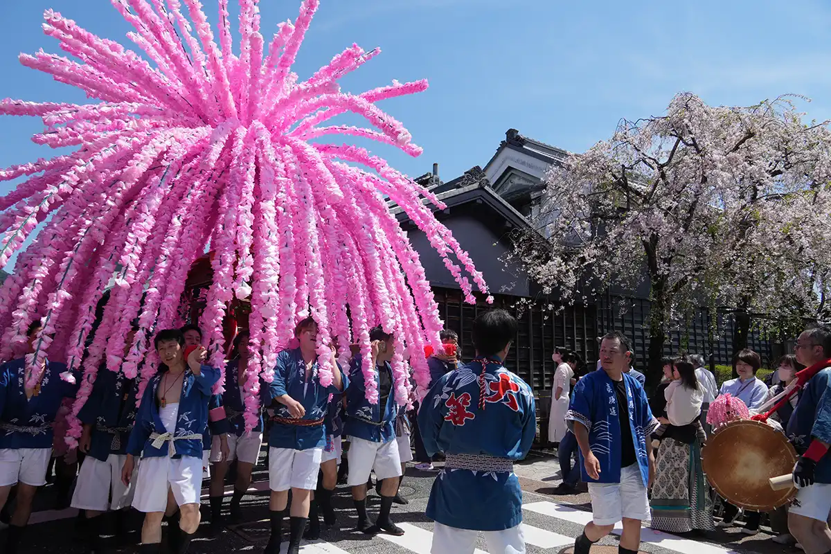 桜と花みこし